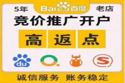 SEM投放策略优化案例分析